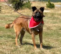 WHITE LUNNA'S SON - 7