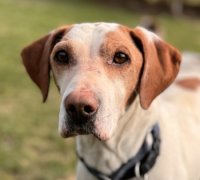 ELIAS   2 15.03.2026