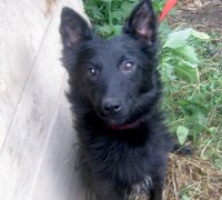 Charna 1 13.07.2026