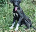 ANDREJ  4 28.07.2026