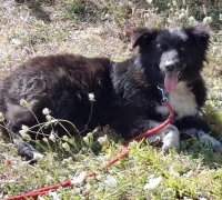 TRUDY  1 